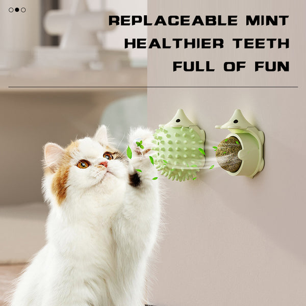 Cat Self-Groomer Brush – Wall & Corner Mount Self-Grooming Massage Comb for Cats & Small Dogs