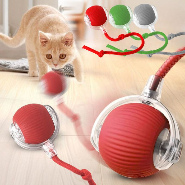 Smart Interactive Cat Ball – Automatic Rolling Rechargeable Toy with Teaser Tail & Motion Sensor for Cats & Kittens