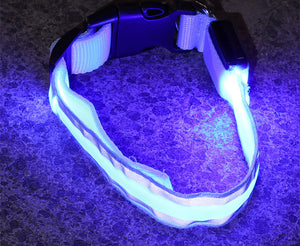 LED Dog Collar – Rechargeable Light-Up Glowing Collar for Safe Night Walks, Adjustable & Multi-Color