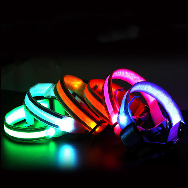 LED Dog Collar – Rechargeable Light-Up Glowing Collar for Safe Night Walks, Adjustable & Multi-Color